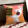 RRabbids IInvasion Cushion Cover Reversible Soft Durable Pillow Cover Home  Car MultiScene Use for Daily Comfort