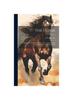 The Horse : Its Treatment In Health and Disease, With a Complete Guide To Breeding, Training and Management; Volume 1