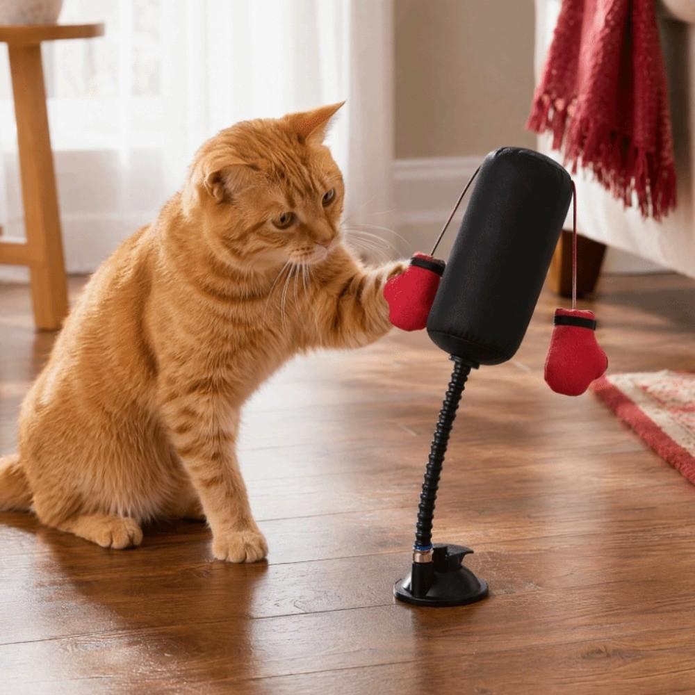 Suction Cup Cat Boxing Toy Scratch Trainer Interactive Cat Toy Cat Boxing Game Kitten Teasing