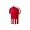 Nike Футболка мужская Atletico Madrid с коротким рукавом и принтом логотипа в полоску, цвет красный белый AJ5523-612