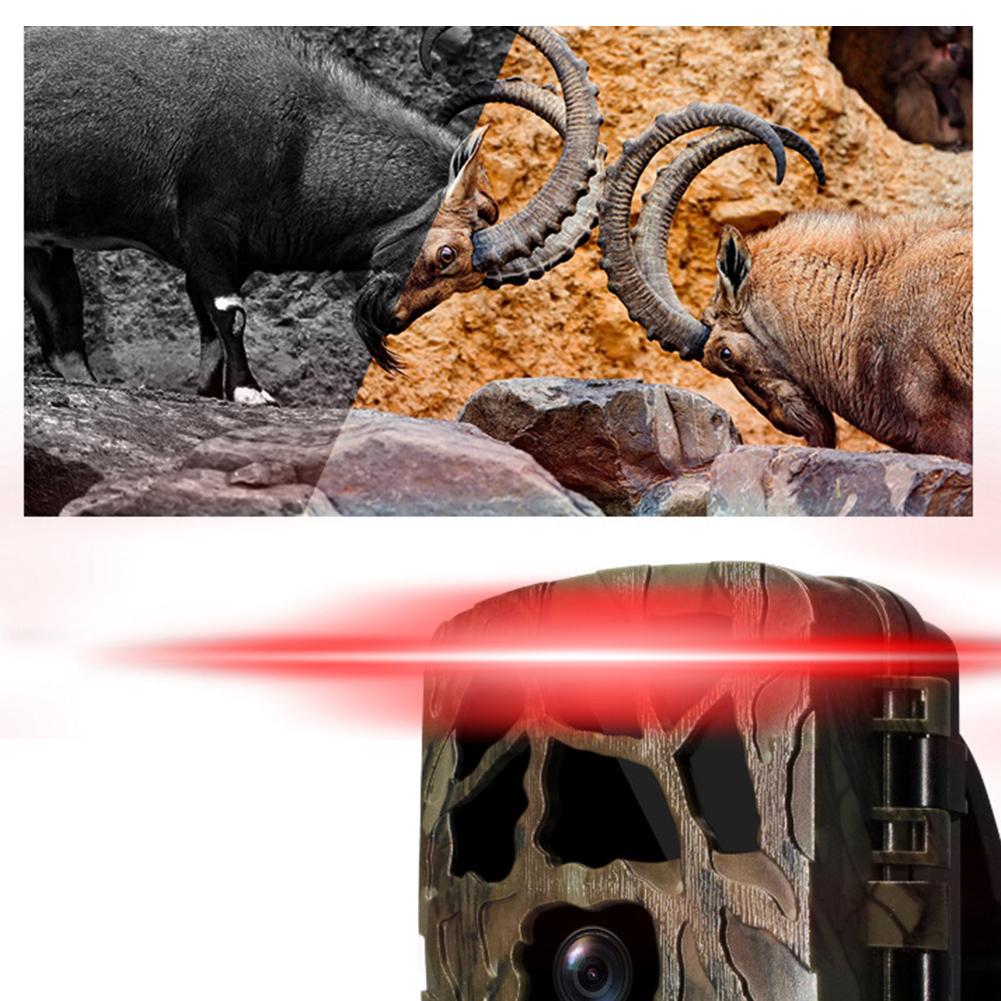 Уличная охотничья камера 4k 20MP с ночным видением Уличная камера IP66 Уличная камера для охоты с триггером для разведки дикой природы