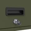 Wall Mounted Garage Cabinet with Gas Spring Door Olive Green