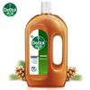Дезинфицирующая жидкость Dettol 1,2 л, двойная упаковка