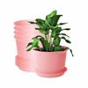 Plastic Round Flower Pots with Tray for Home Planters, Terrace, Garden Etc | Pack of 05 | Pink | Size 8 Inch | for Home Indoor & Outdoor