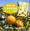 Foods Official Mail Maruka Foods Hiroshima Souvenir Sweets Set Squid Tempura Nori Ten Set Sweets Sweets Gift Popular Stylish Snacks Gift Snack