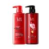 SURE Camellia Shampoo & Shower Gel Set