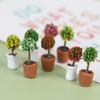 Doll House Desktop Mini Plant Potted Miniature Scene Model Micro Landscape