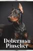 Книга Doberman Pinscher : Dog Breed Overview and Guide
