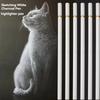 6 шт./компл., белые угольные карандаши, набор для рисования, профессиональные белые карандаши для эскизов, меловые карандаши для рисования, меловые карандаши для начинающих
