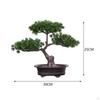 Приветствующее дерево в горшке, растение бонсай, декоративный роман и уникальный многофункциональный настольный дисплей для