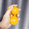 2 пары ритмических шаровых асалато ручных ударных инструментов погремушка асалато шейкер для взрослых и подростков