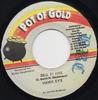 7inch Record HAWKEYE - Beg Fi Him NONE Pot Of Gold 1998 Jamaica Reggae, Ska & Dub Used