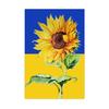 1/2/3Pcs Sunflower Flag 12" X 18" Patriotic Ukrainian National Flag Double