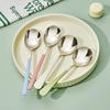 2Pcs 410 Stainless Steel Luxury 4 Color Handle Spoon For Family Dinner Tableware Restaurant Flatware Soup Ladle