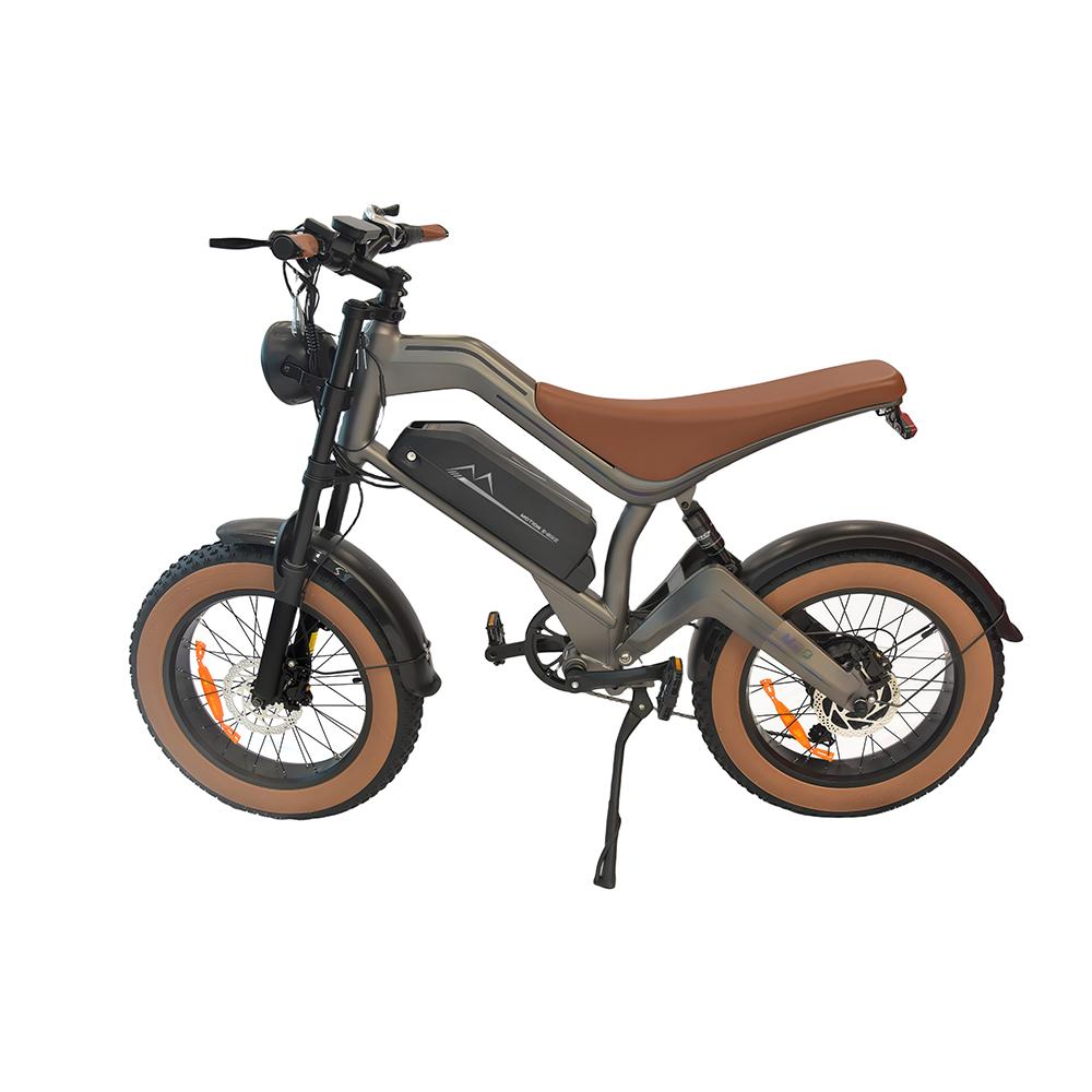 DYU M20 Electric Dirt Bike 20inch with 48V 18.2AH Battery