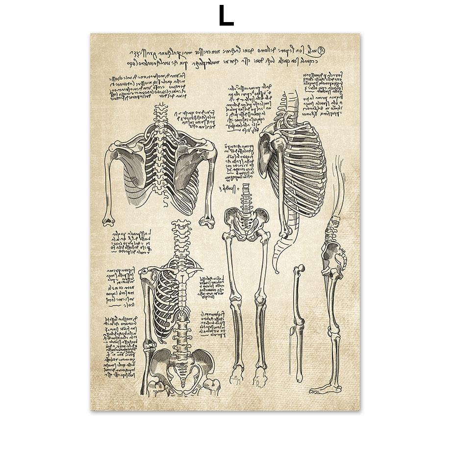 Постеры на скандинавскую тему и принты, настенная живопись на холсте, Анатомия, скелет, винтажные настенные панно для больницы, доктора, офисного декора
