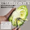 Pro Peeler Z Cabbage Shredding Thin Skin Peeler Commercial Grade Honbare