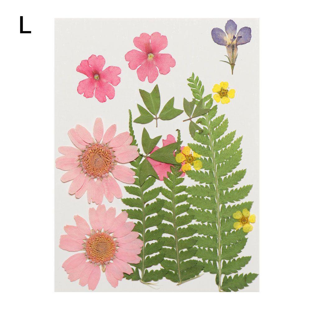 Filling Materials Jewelry Making Beauty Decal Resin Filler Resin Mold Filling Flower Dried Flowers