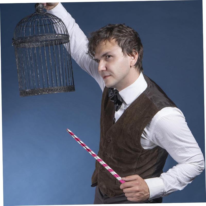 2 шт. Карманный посох, Растягивающаяся Выдвижная Волшебная палочка Портативный Компактный Мини Реквизит для Фокуса для Профессионального Фокусника Сценическое Выступление