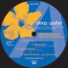12-дюймовая пластинка BATHYSPHERE - Daylight Shrubbery EP DWEP006 Deep-Water 2002 UK Танцевальная и Электронная Музыка Б/У