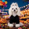 Halloween Pet Hoodie With Pumpkin Design Leash Ring Dogs Cats Winter Casual Costume