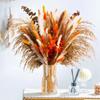 Source Yunnan Dried Flower Bouquet Combination, Real Flower Pampas Grass Home Decoration Reed Rabbit Tail Grass Dried Flowers