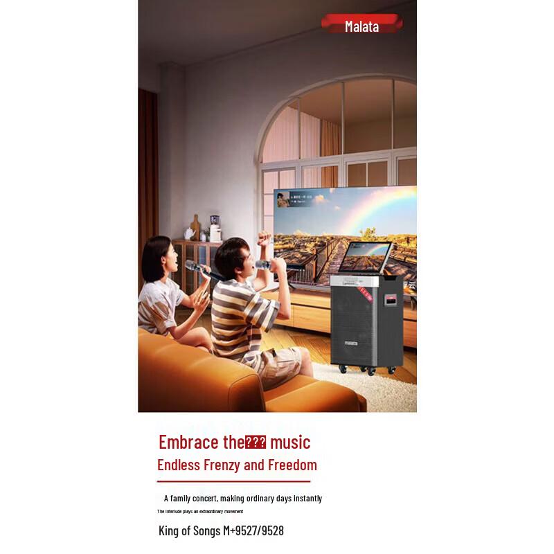 Malata Portable Home KTV Audio System (CN version)
