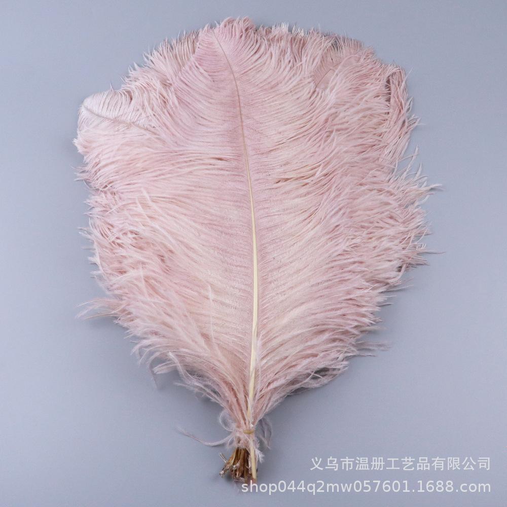 45-50 см Южноафриканское страусиное перо Современная перьевая лампа Свадебное сценическое украшение Высококачественное страусиное перо