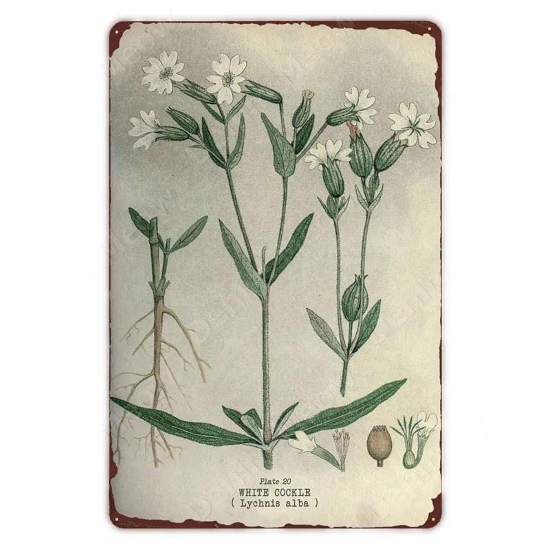 Ретро плакат с овощами и растениями, винтажный металлический жестяной знак с фруктами, настенная вывеска с цветной капустой, садовая кухонная ферма, цветы, тарелка, декор