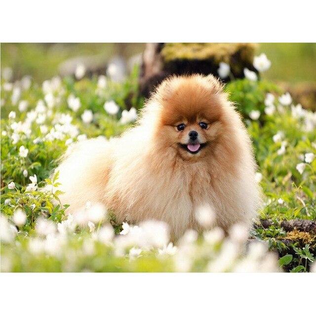 5D DIY Алмазная картина Набор Милый щенок Искусство Алмазная вышивка Стразы Украшения для дома