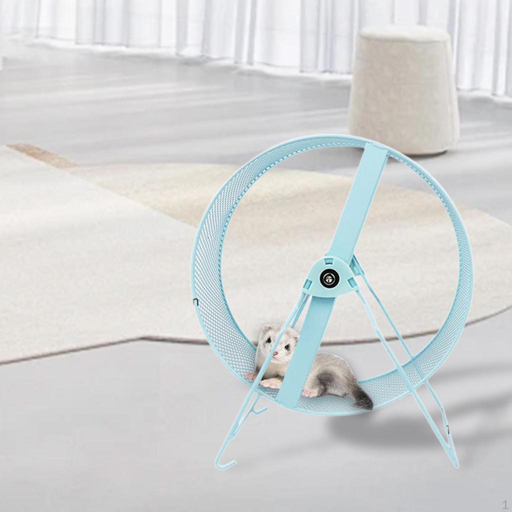 Вниз Хомяк Упражнение Когда