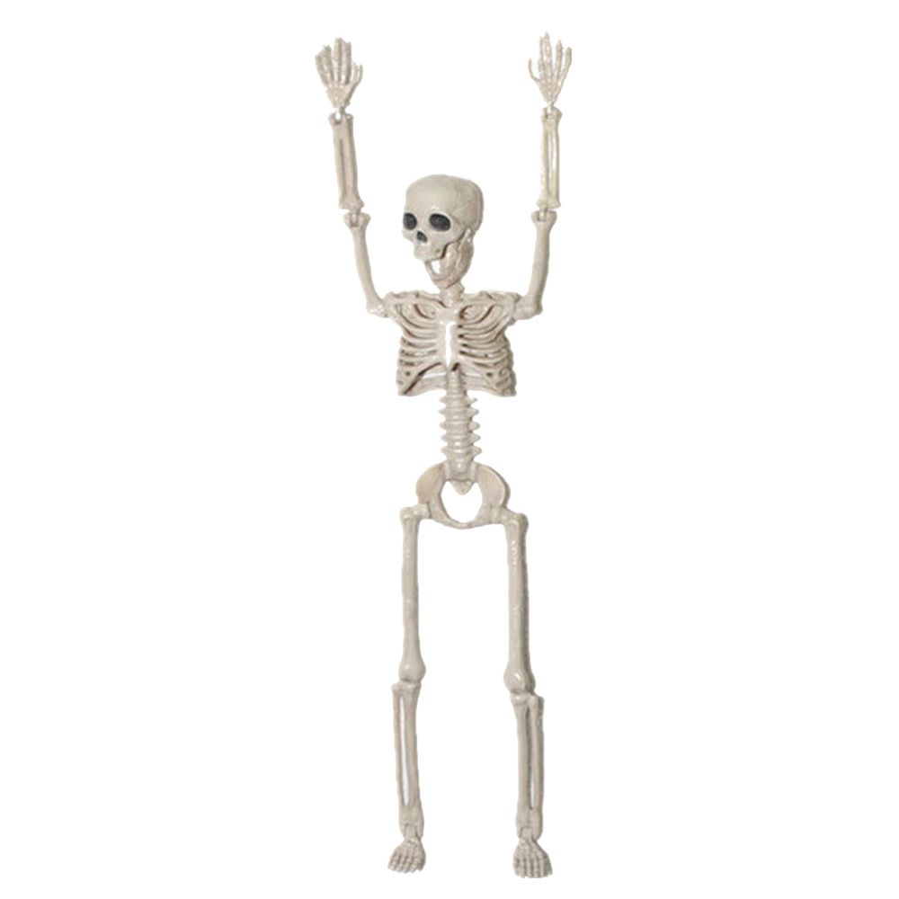 1 PC Party Supply Anatomical Photography Props Model Halloween Bone Human Skeleton