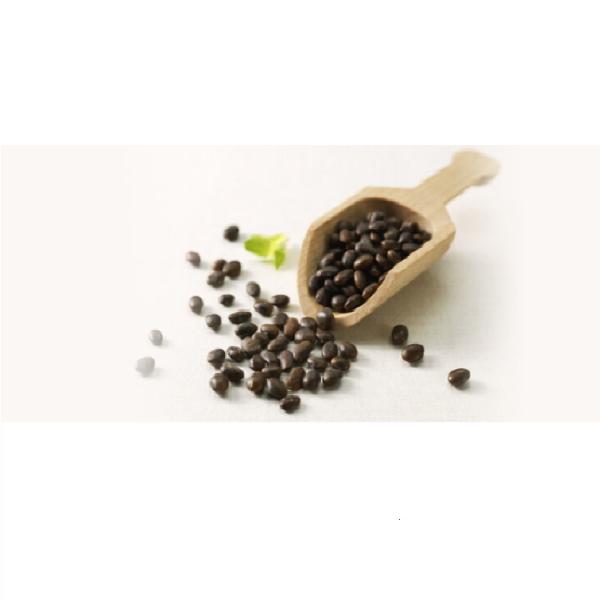 Primera Укрепляющая вода Wild Seed 180 мл