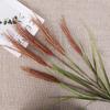 70 см длиной 5-головые имитация тростника луковая трава кортадерия искусственный цветок Entran имитация украшения собачий хвост трава для домашнего интерьера украшения