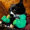 Cat Muscle Arm Costume 3D Printed Cat Neck Arm with Muscle Funny Cat Neck