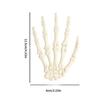 Halloween Spirit Skeleton Hands Realistic Plastic Scary Skeleton Hand Witch Skull Skeleton Hands for Haunted House Decors