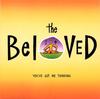 7-дюймовая пластинка BELOVED - You've Got Me Thinking YZ738 EastWest 1993 UK Pop Б/у