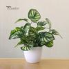 Предметы домашнего обихода Искусственная листва Растение Бонсай в горшке Свадьба Торговый центр Стол Офис
