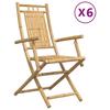 VidaXL Chaises pliables de jardin lot de 6 53x66x99 cm bambou, chaise pliable, meuble d'extérieur, chaise à manger, meuble 3278515