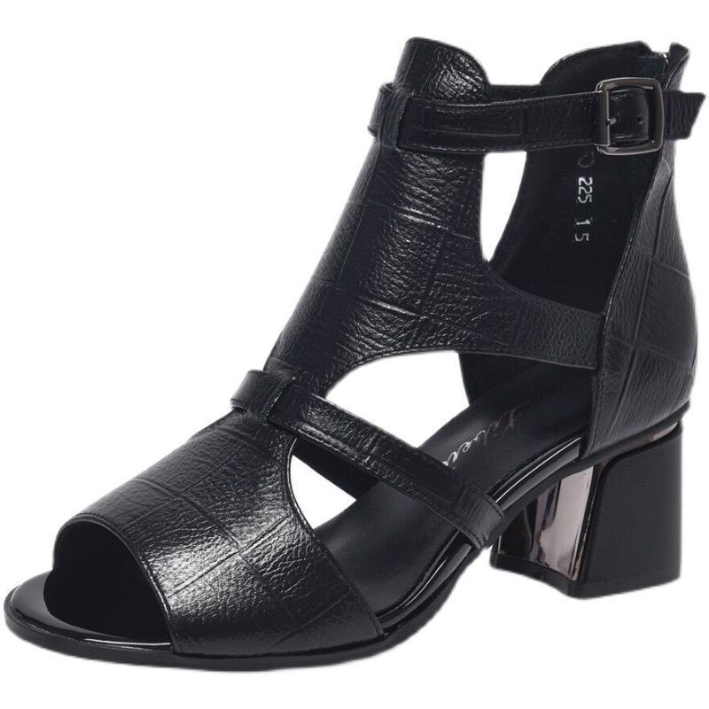 High Heeled Sandals Female New Summer Fish Mouth Shoes Chunky Heel Roman Back Zipper Sandals Solid Casual Sandales Femmes