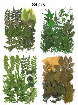84 шт. сушеных листьев, прессованные цветы с пинцетом для форм из смолы, настоящая натуральная ассорти из сухой зелени для поделок, мыла, свечей, украшений для скрапбукинга