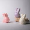 Aromatherapy Candle Rabbit Ornament Creative Low Temperature Drop Wax Desktop Decoration Birthday Gift