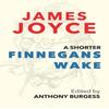A Shorter Finnegans Wake by James Joyce Paperback Book 9781912916931