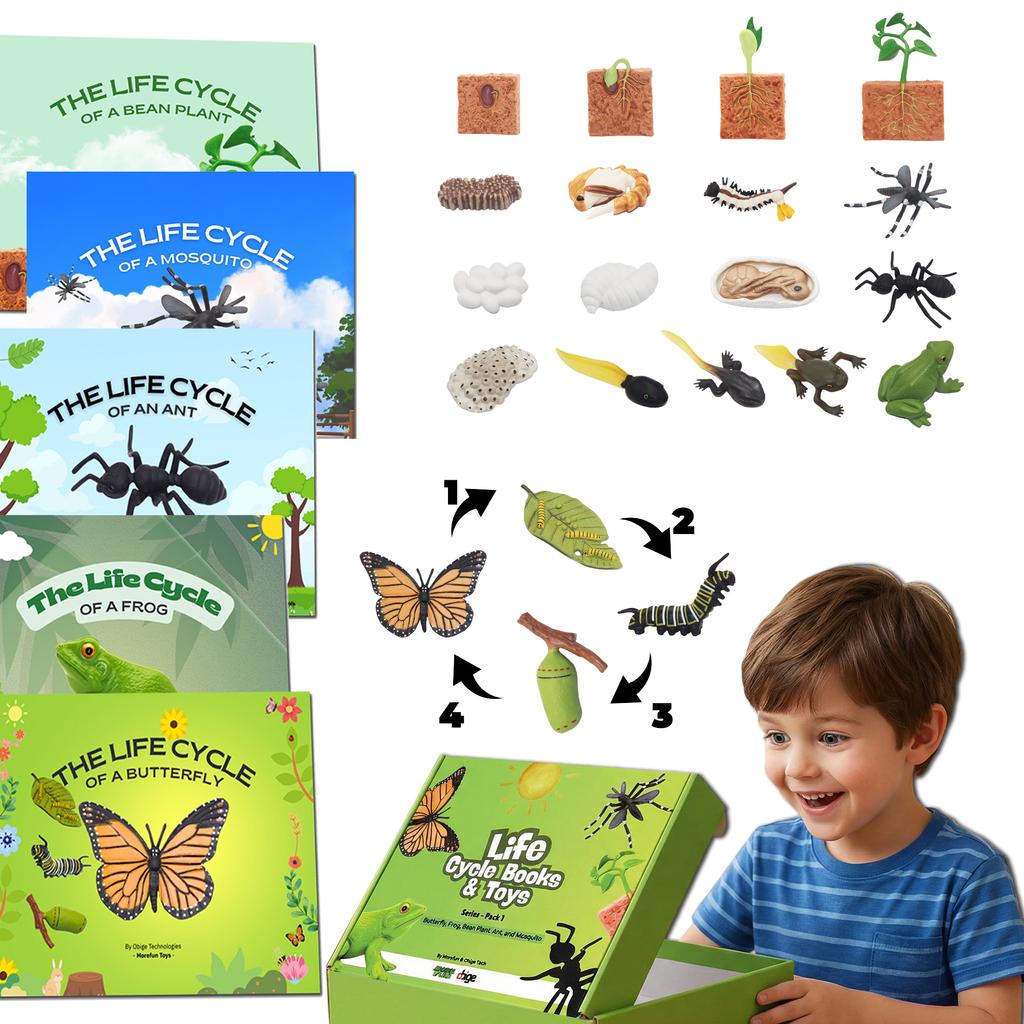 Montessori Kids English Learning Set Animals Life Cycle Toy Set With 5 English Books – Ant, Frog, Butterfly, Mosquito & Bean