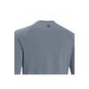 Under Armour Solid Color Crew Neck Long Sleeve Training T-Shirt Men Tops Grey 1378989-002
