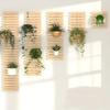 1/2/3/4pcs Decorative Plant Climbing Frame For Indoor Outdoor Plants Hanging Large Planters Live Vertical Garden 30x30cm