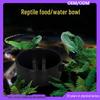 Кормушка для рептилий с миской для воды и кормушкой для мелких домашних животных, таких как хомяки, гекконы, ящерицы, насекомые и рогатые лягушки.