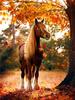 5D DIY Diamond Embroidery Horse Cross Stitch Diamond Painting Sale Animals Full Square Mosaic Home Decoration