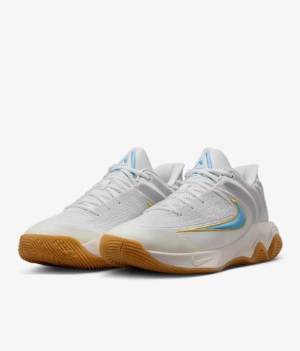 Nike Мужские баскетбольные кроссовки Giannis Immortality 4 FQ3681-101