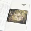Советы по фотографии: 20 основных вопросов